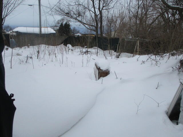 612 N Crystal Avenue