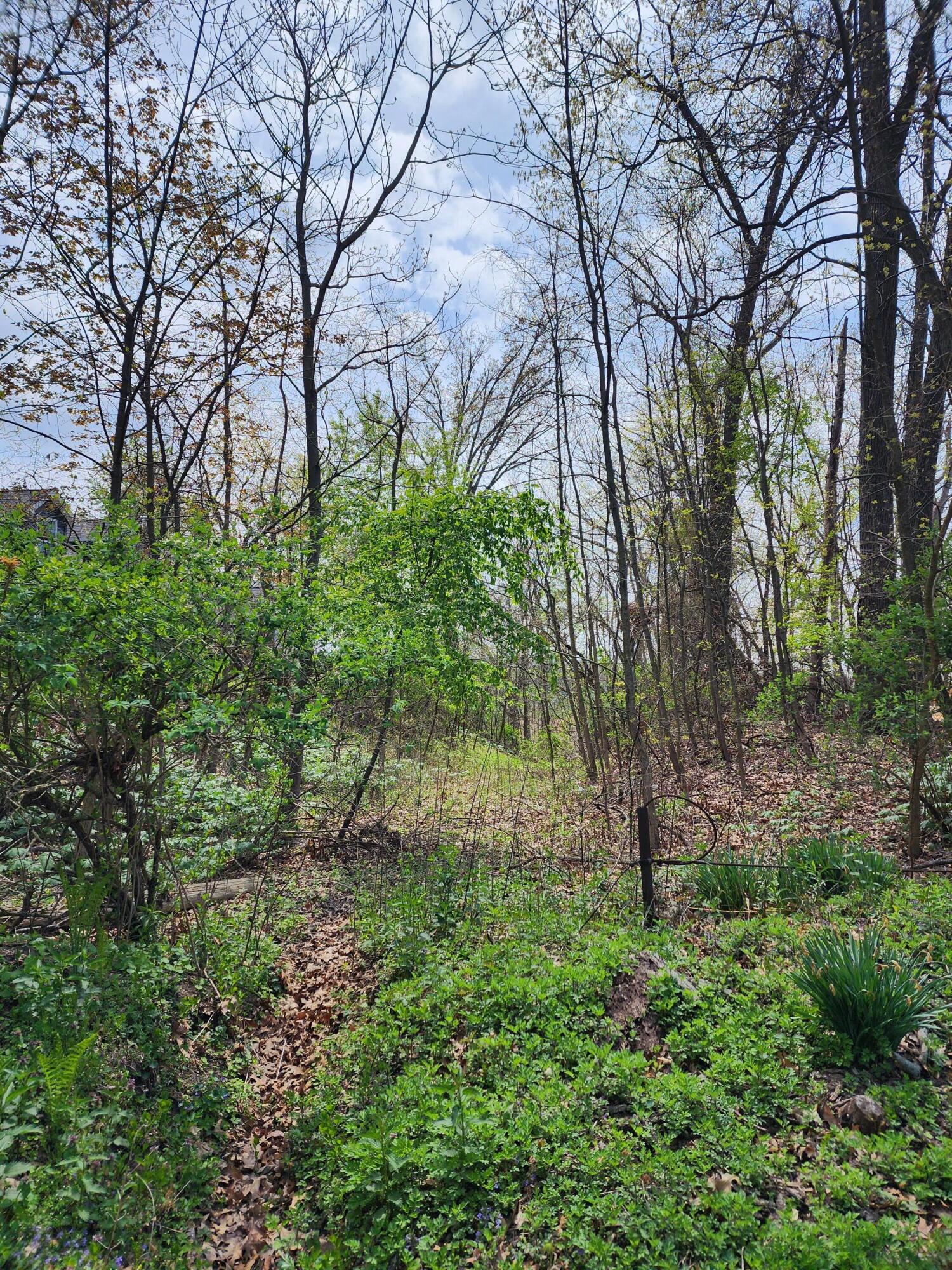 11018 Riverview Drive