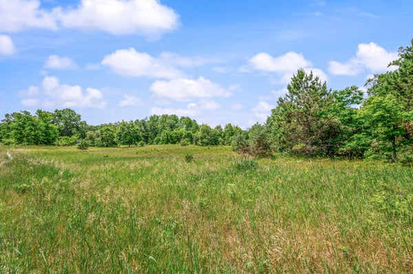 VALLEY CT, MECOSTA, MI 49332 - Image 8281fd4e46d89918f49c8e252ee419a5/3110299128