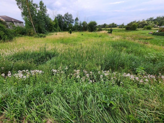 24TH AVE SW, HUDSONVILLE, MI 49426 - Image 82eaad86609cbb0807a0f45431b7d9b7/3549634612