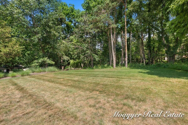 2549 ASHWOOD CT SE, ADA, MI 49301 - Image 833d11535f828d8b197d1ffe3d8a07c8/506570633