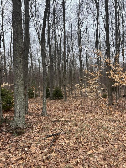Photo of N Dennis Road, Ludington, MI 49431 (MLS # 26011178)