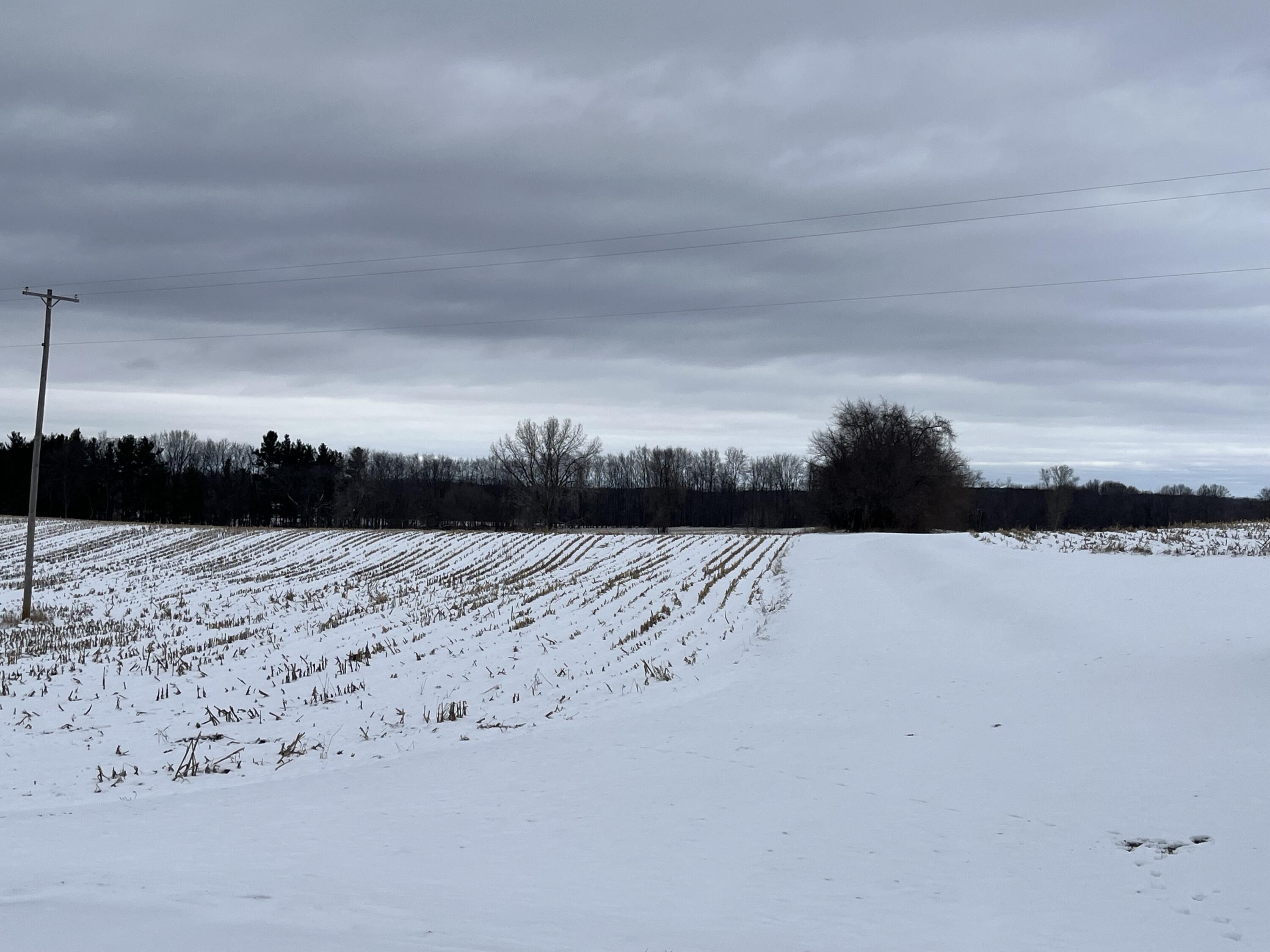 Allegan, Michigan 49010, United States, 3 Bedrooms Bedrooms, ,1 BathroomBathrooms,Residential,Pending,117778