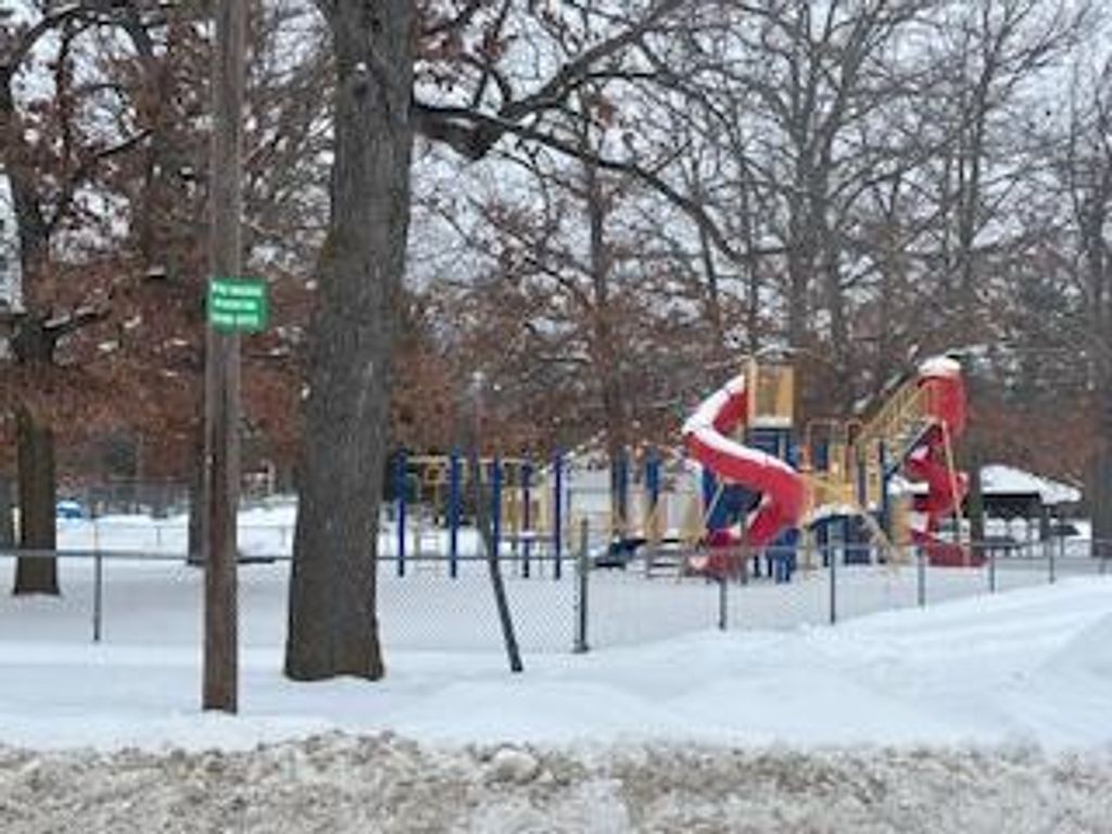 Photo of 765 E 10th Street, Baldwin, MI 49304 (MLS # 26005437)