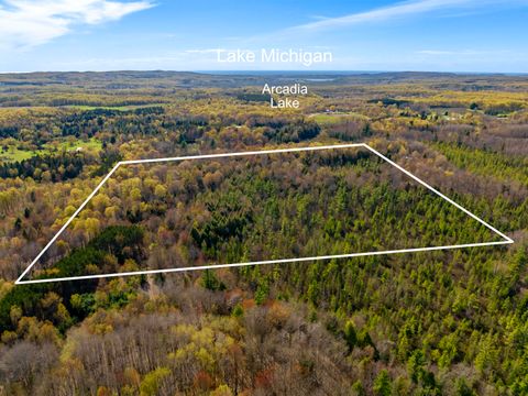 Photo of 00 Benzie Highway, Benzonia, MI 49616 (MLS # 26021283)