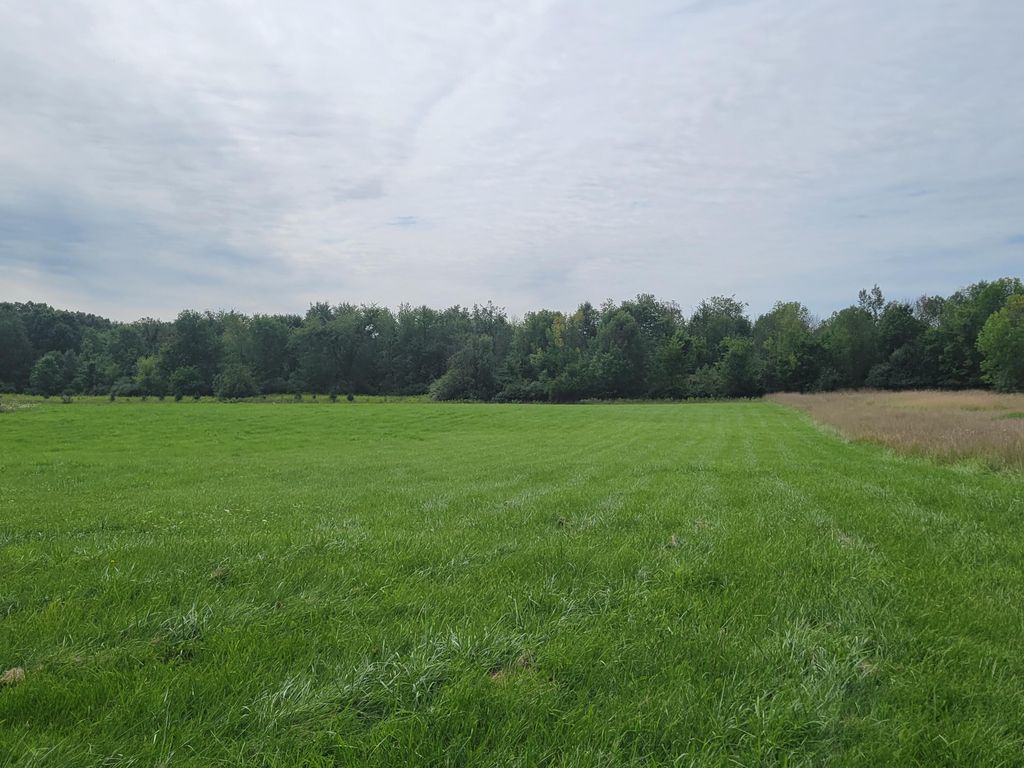 Photo of 8254 92nd Street SE, Alto, MI 49302 (MLS # 23030939)