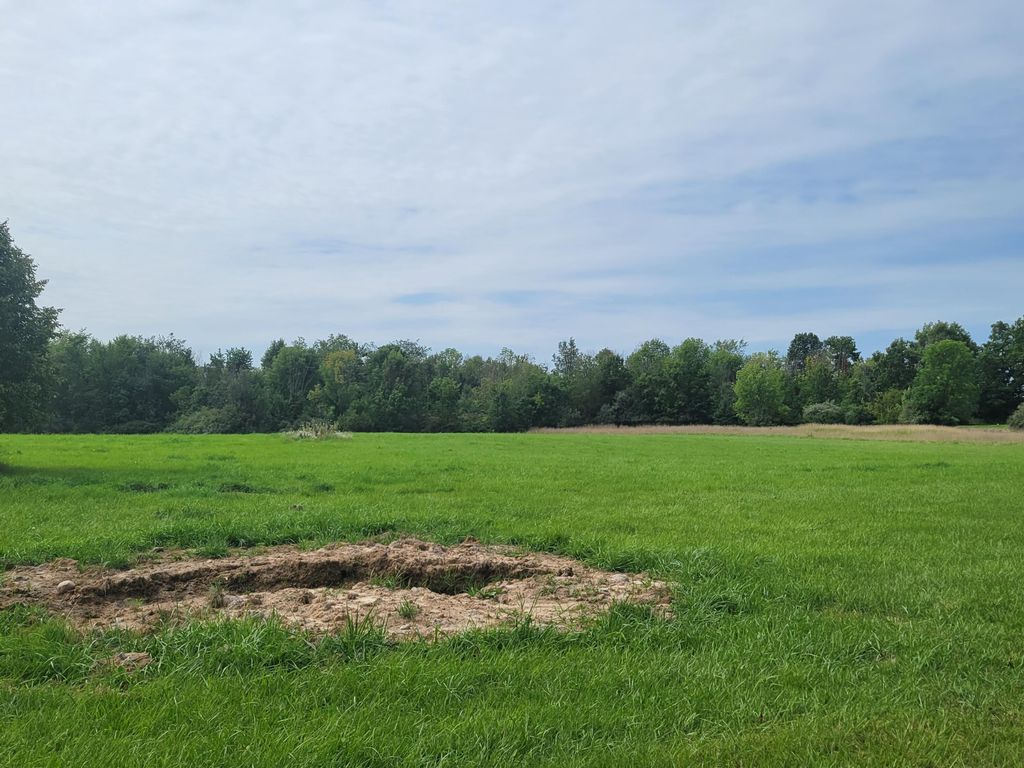 Photo of 8254 92nd Street SE, Alto, MI 49302 (MLS # 23030939)