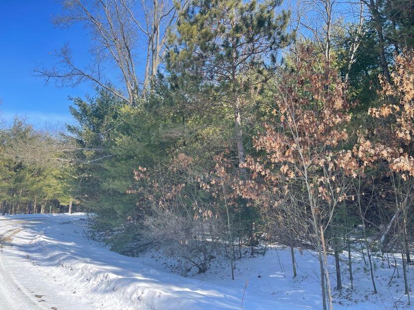 9086 Forest Pines Drive