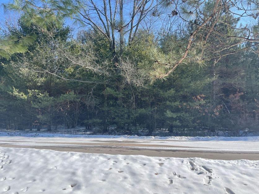 9086 Forest Pines Drive