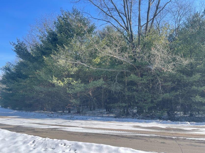 9086 Forest Pines Drive