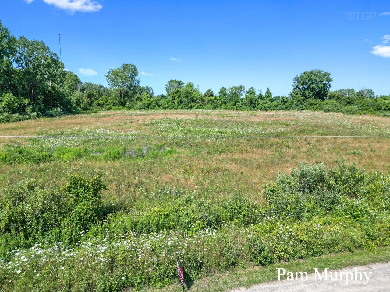 View Fennville, MI 49408 land
