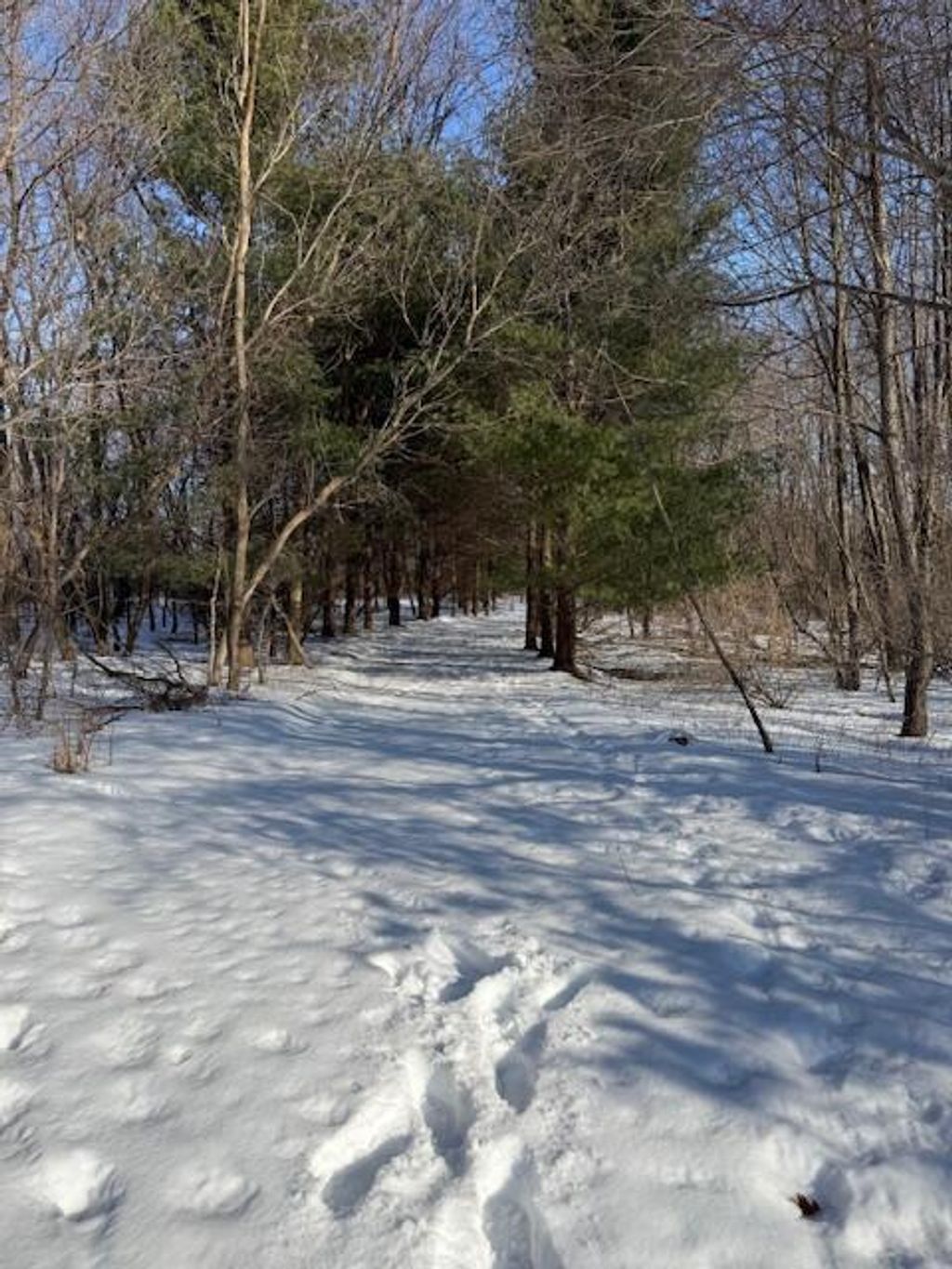 Photo of Warner Road, Laingsburg, MI 48848 (MLS # 26005438)