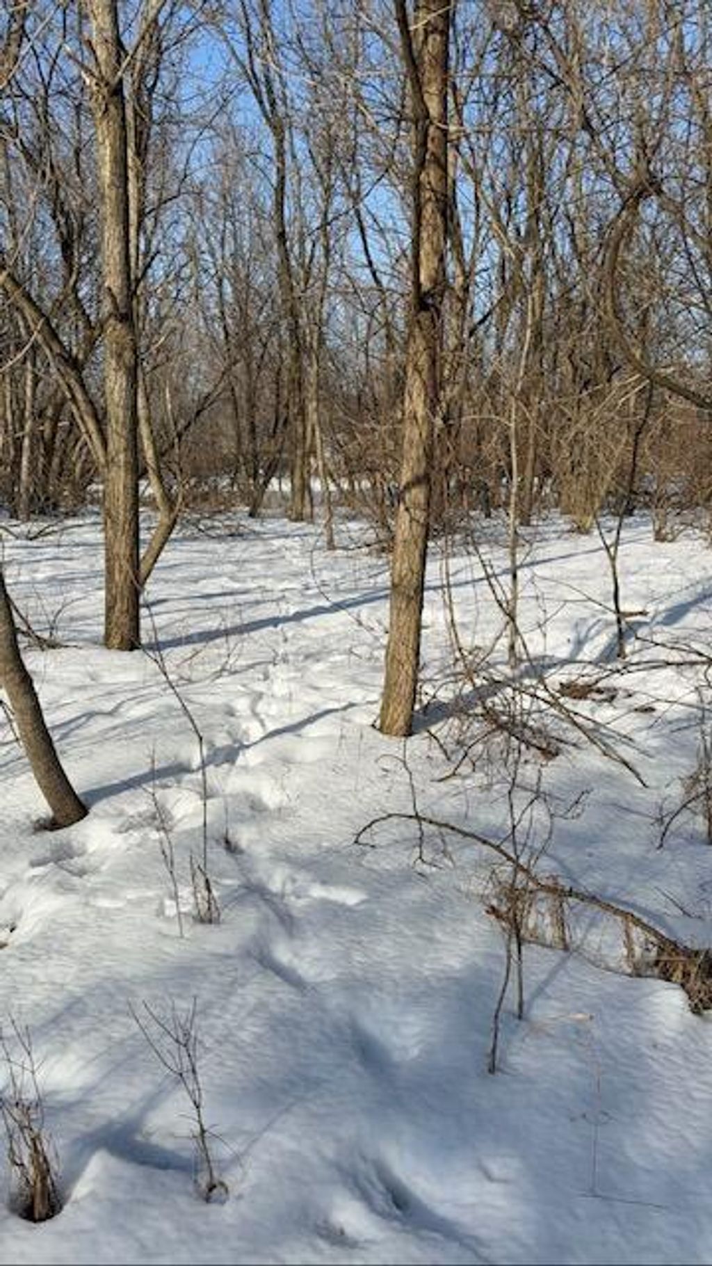 Photo of Warner Road, Laingsburg, MI 48848 (MLS # 26005438)