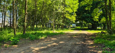 Photo of 211 S Ray Quincy Road, Quincy, MI 49082 (MLS # 25062548)