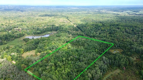 50TH AVE, MARION, MI 49665 - Image 85324a0274ac25bd48e7ecc6449ff09b/355294816