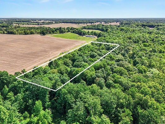16470 E TS AVE, FULTON, MI 49052 - Image 857879eb2cfba4e097acb9e7de1c7acf/417780753