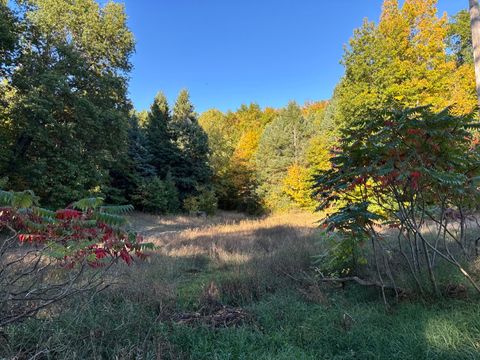 Photo of W Grant Road, New Era, MI 49446 (MLS # 25051866)