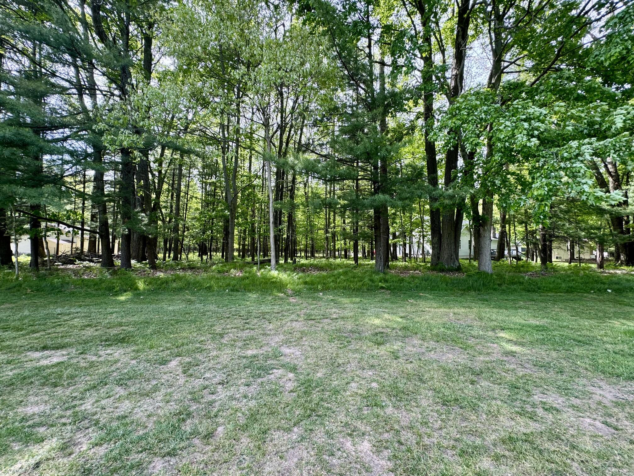 6798 Beechnut Ridge