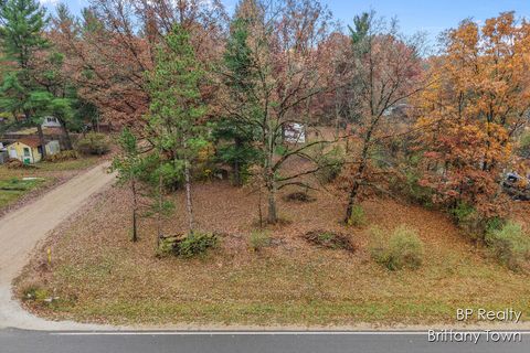 Photo of 7344 E 40th Street, Newaygo, MI 49337 (MLS # 25060959)