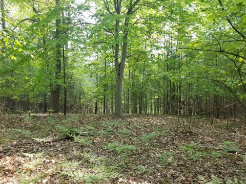 Photo of Par 16 W 12 Mile Road, Irons, MI 49644 (MLS # 25017092)