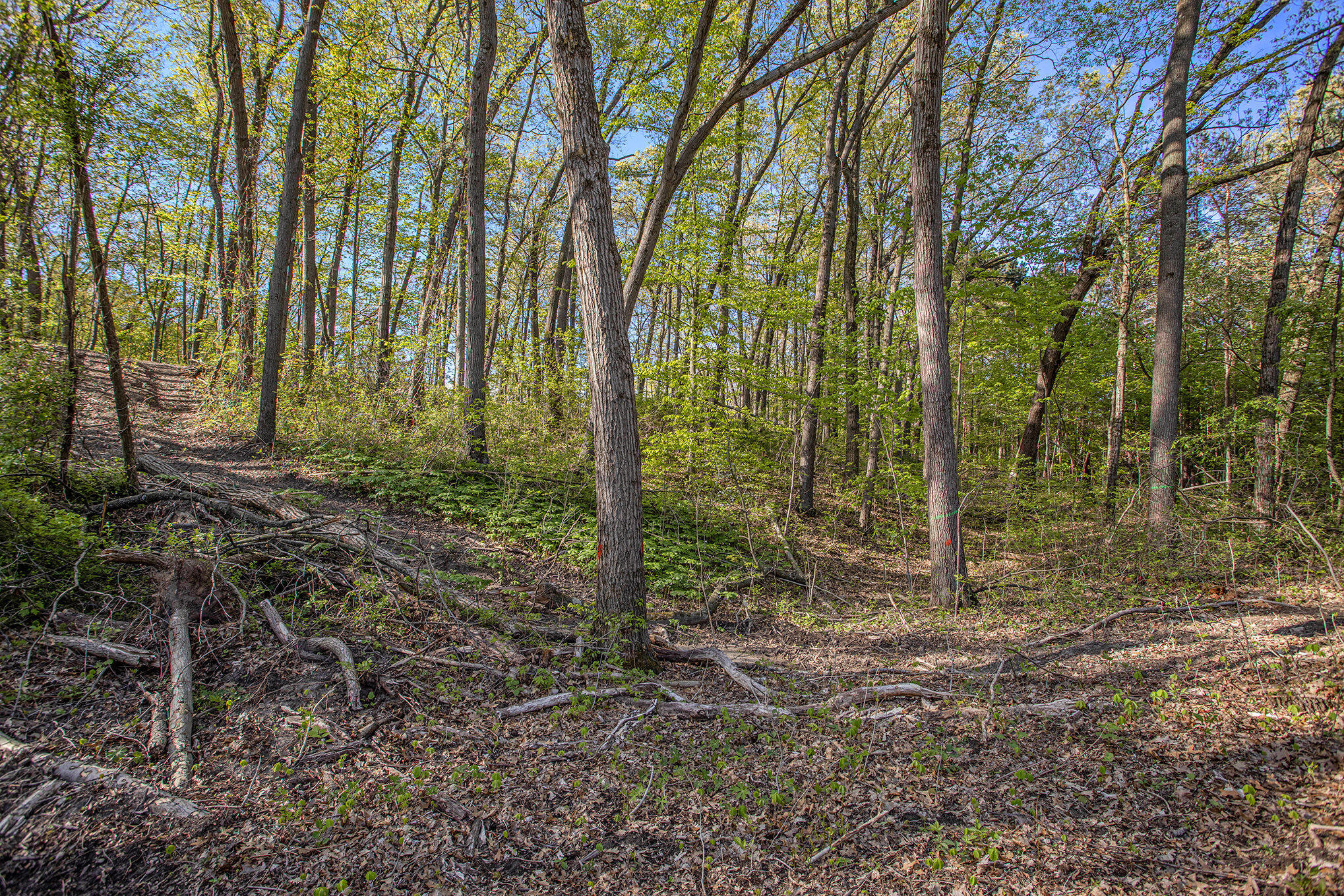 Battle Creek, Michigan 49014, United States, ,Land,Active,129059