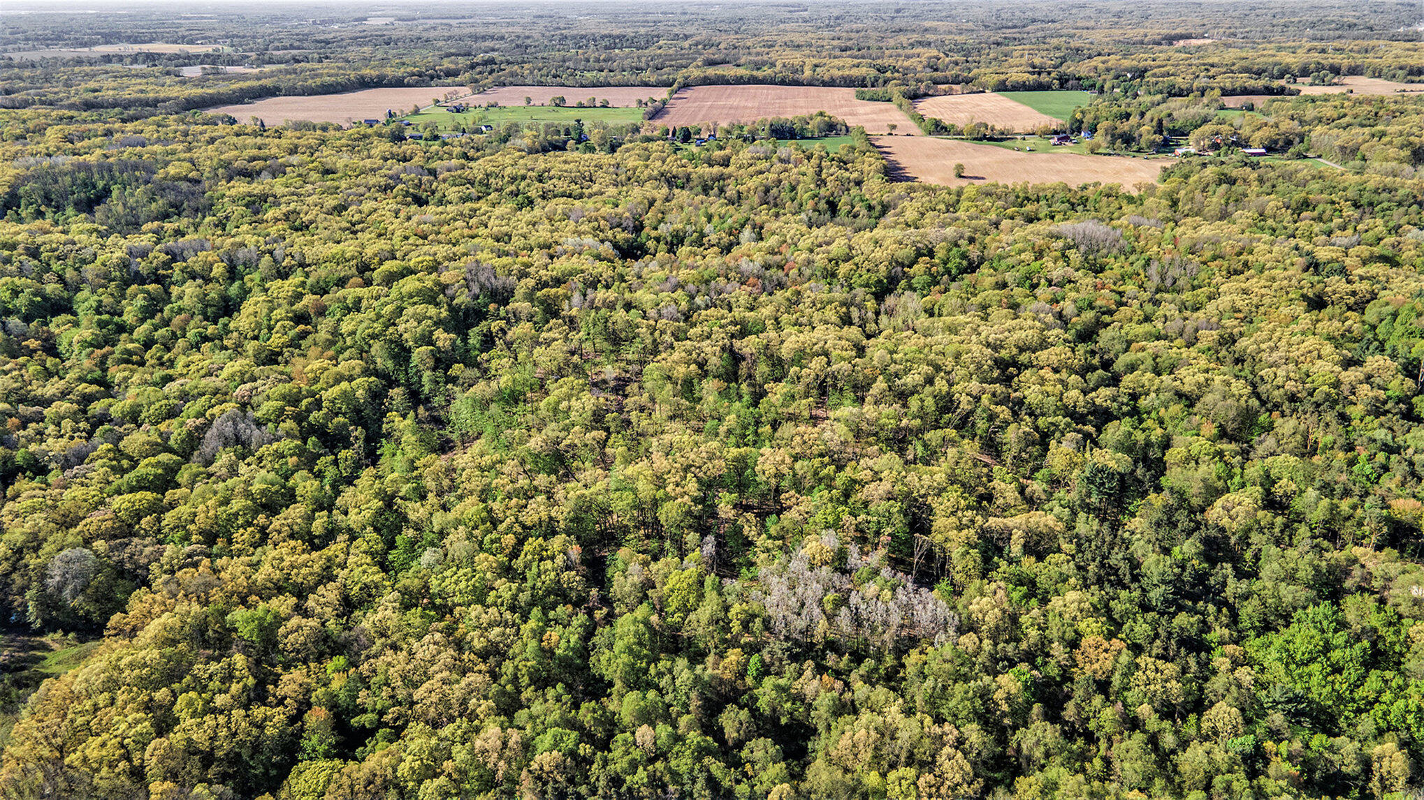 Battle Creek, Michigan 49014, United States, ,Land,Active,129059