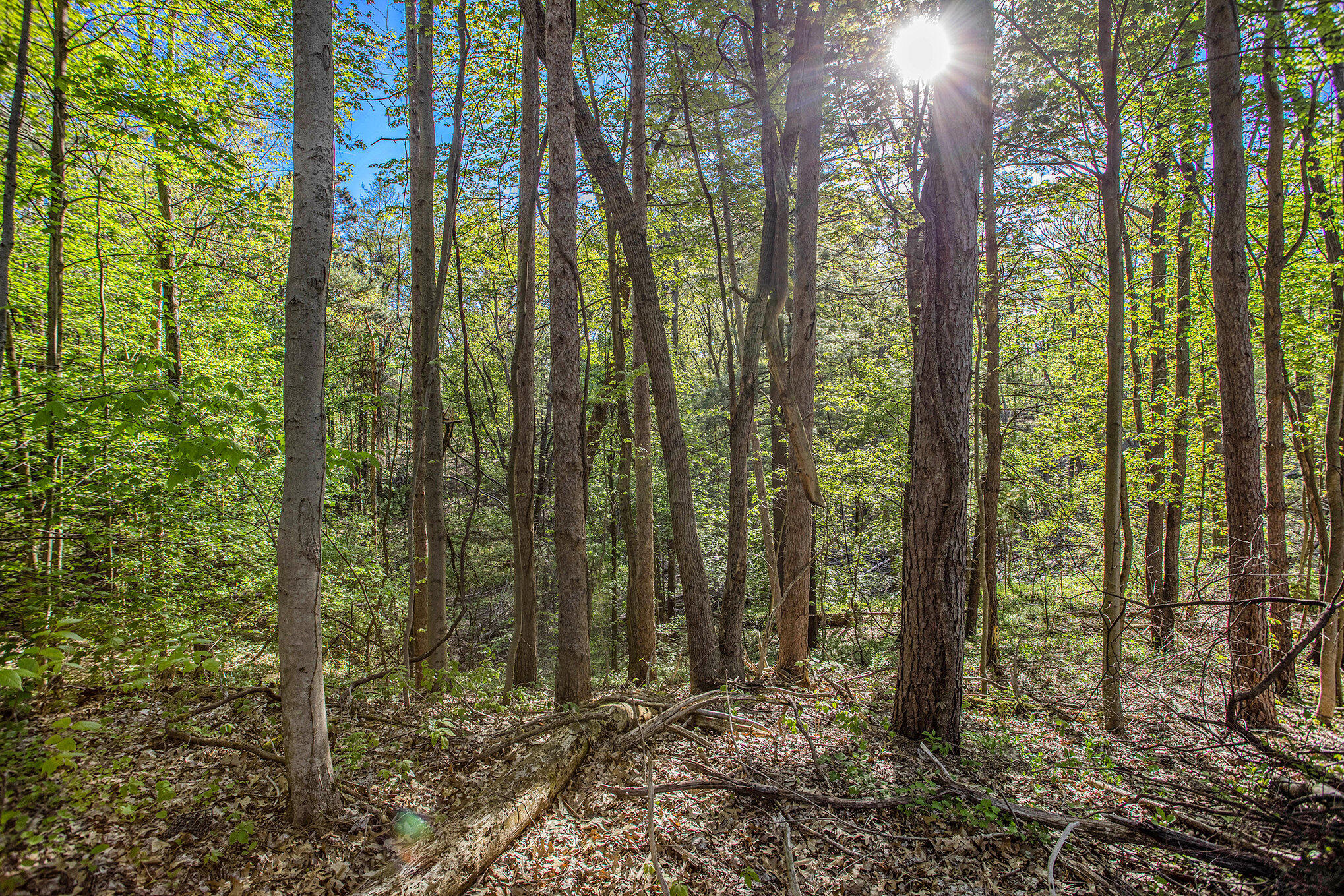 Battle Creek, Michigan 49014, United States, ,Land,Active,129059