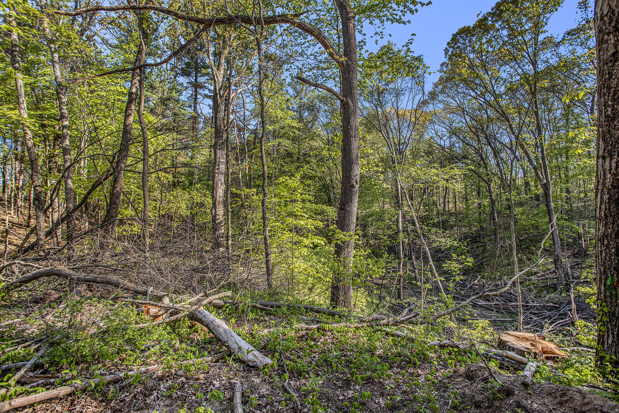 Battle Creek, Michigan 49014, United States, ,Land,Active,129059