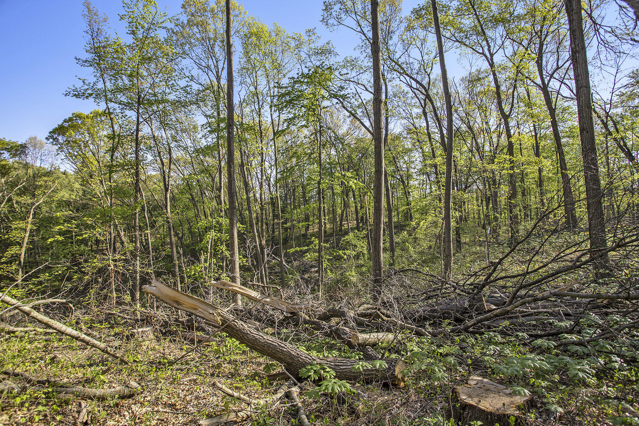 Battle Creek, Michigan 49014, United States, ,Land,Active,129059