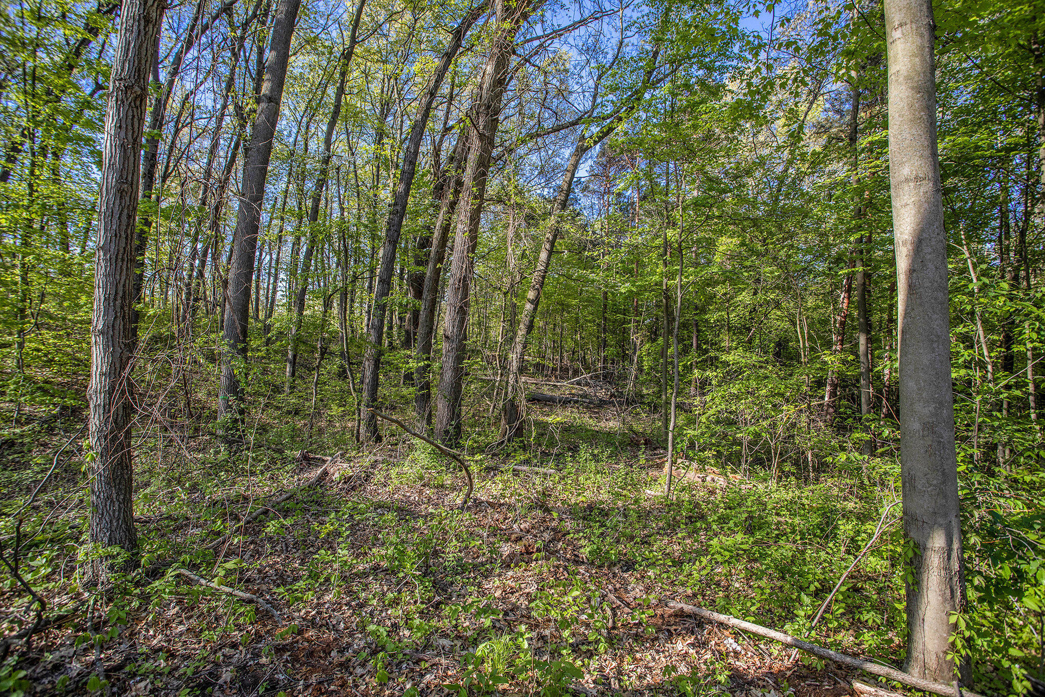 Battle Creek, Michigan 49014, United States, ,Land,Active,129059