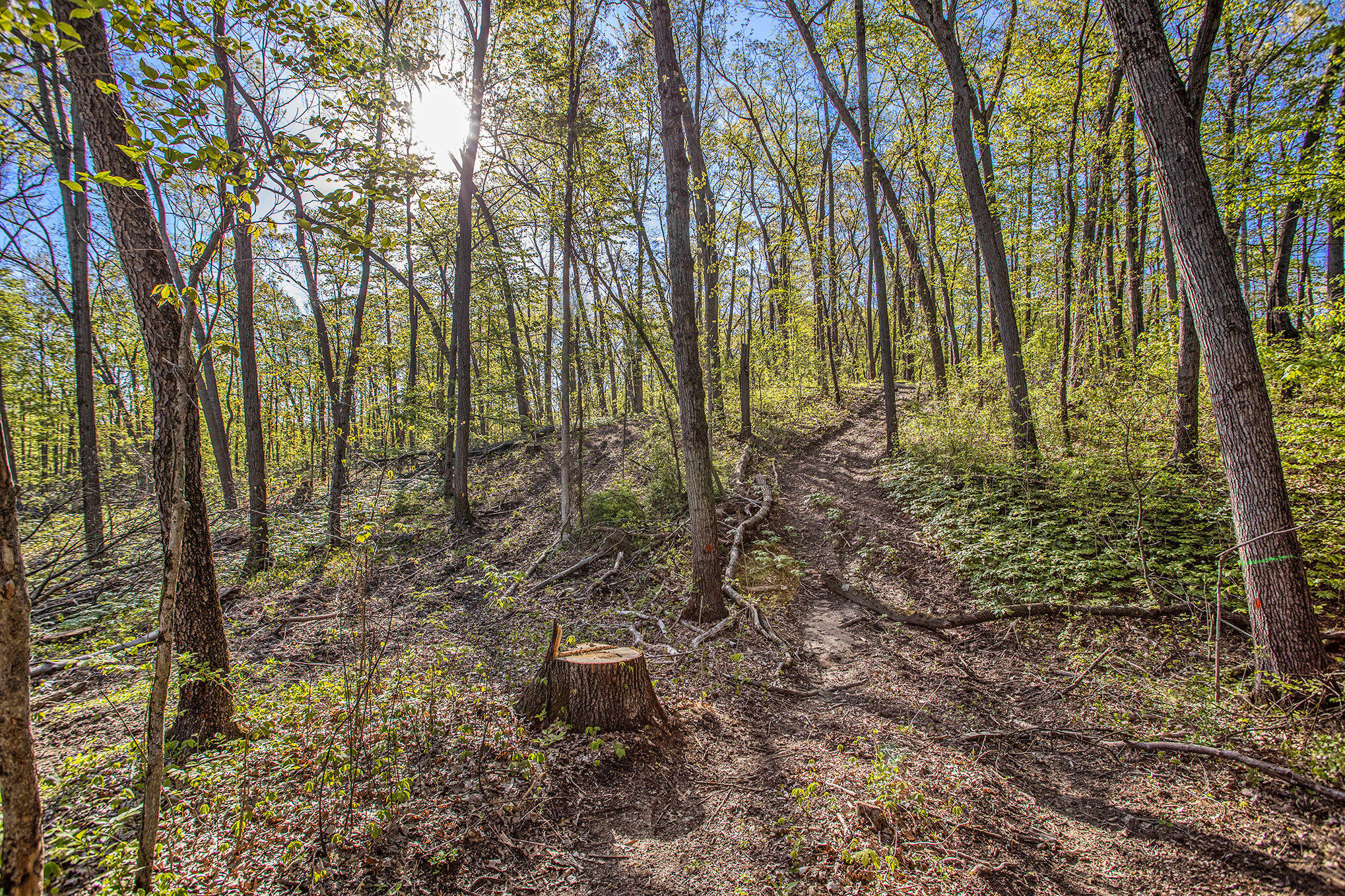 Battle Creek, Michigan 49014, United States, ,Land,Active,129059