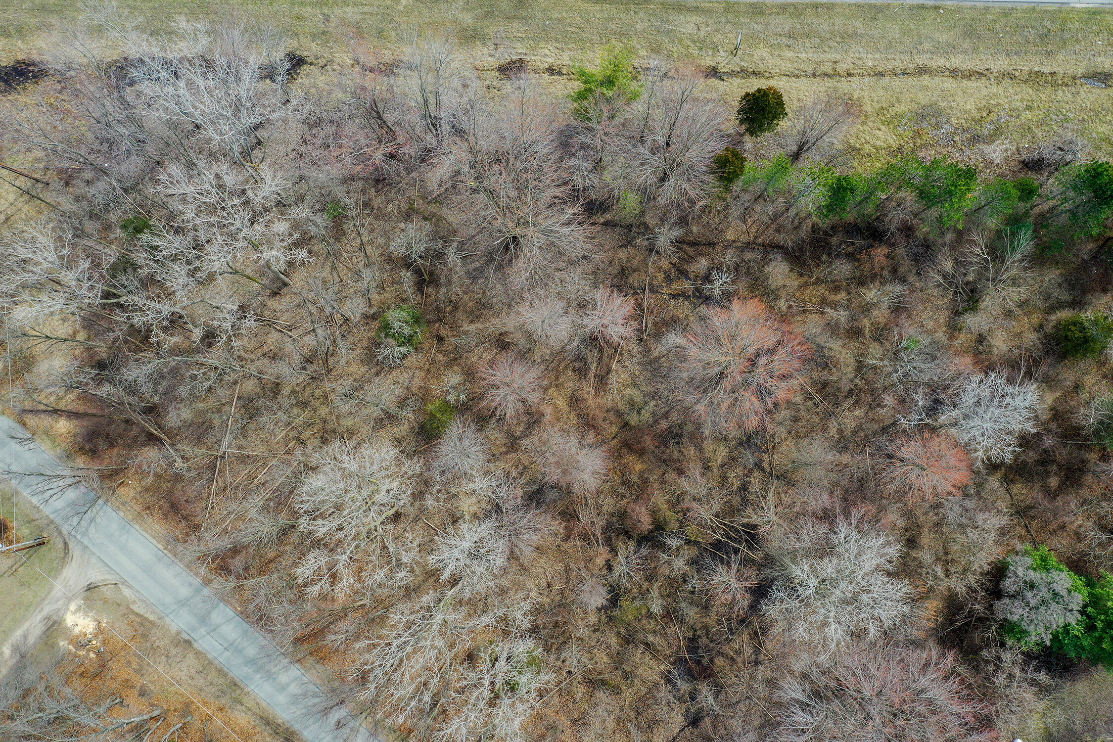 9604 9704 Community Hall Road