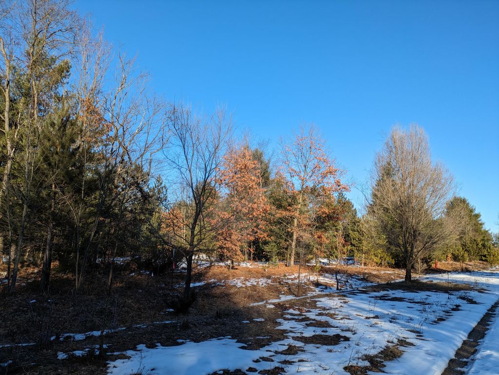 Photo of 15 Jussi Street, Kaleva, MI 49645 (MLS # 26004998)