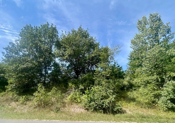 B ST, HOLLAND, MI 49423 - Image 87b7e4a6f9ae9976a9765f7fa9548c4e/1174363255
