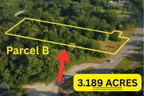 5363 Red Arrow Highway, Parcel B Stevensville MI 49127