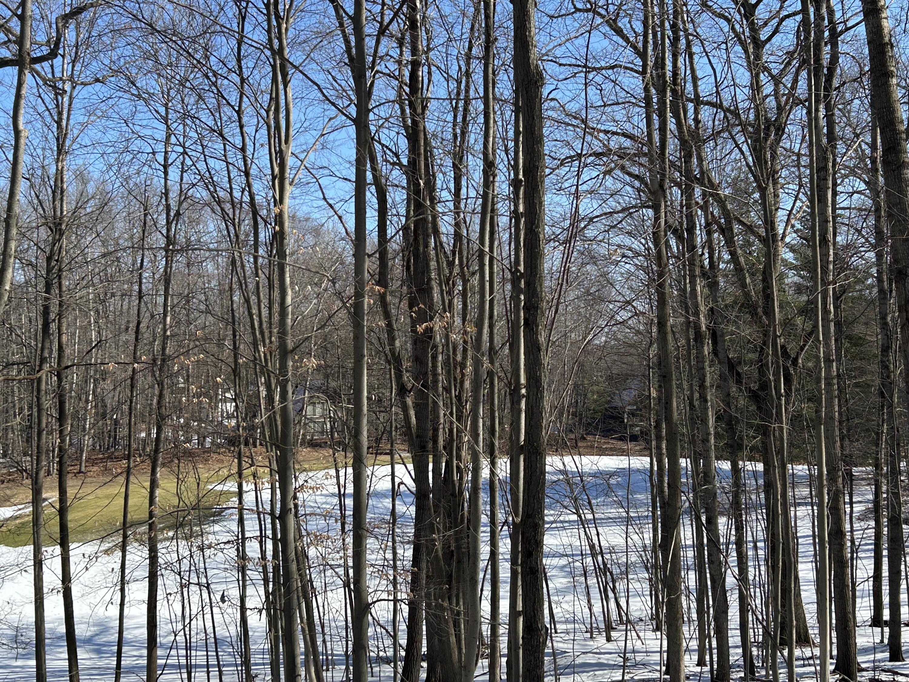 9570 Pere Marquette Drive