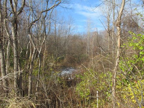 W Marquette Woods Road Stevensville MI 49127