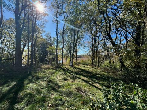 Photo of 4832 W Monroe Road, Pentwater, MI 49449 (MLS # 26011404)