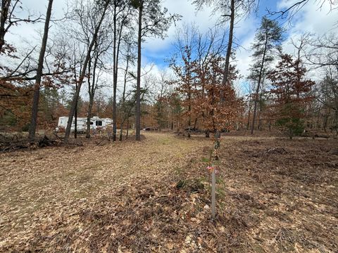 Photo of 3225 W 1 1/2 Mile Road, Baldwin, MI 49304 (MLS # 26013529)