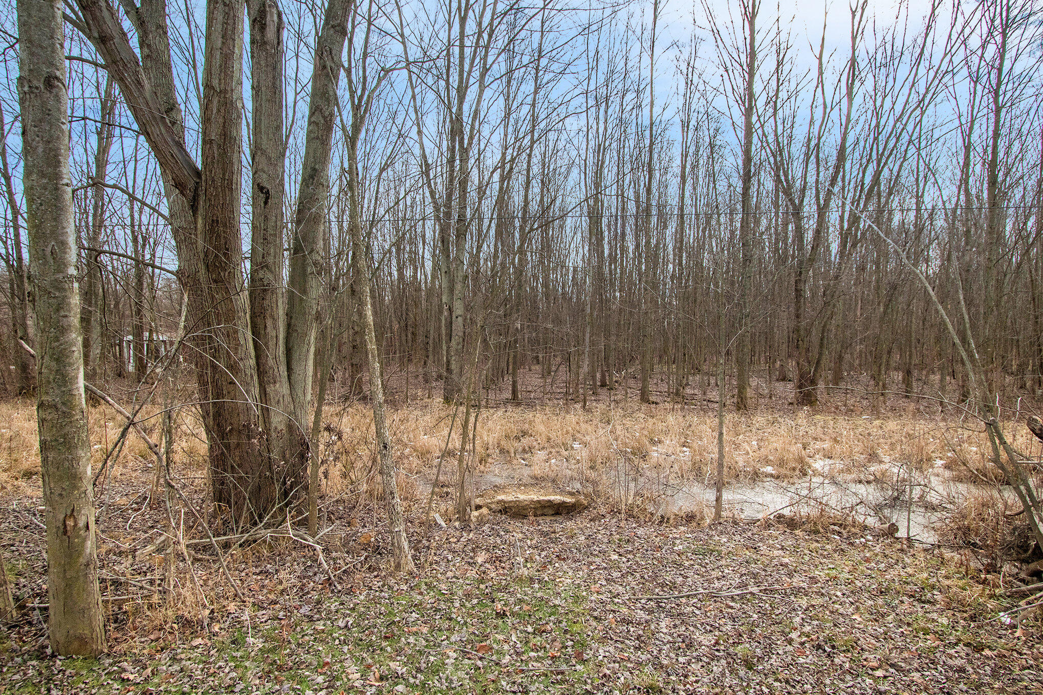 Vandalia, Michigan 49095, United States, 4 Bedrooms Bedrooms, ,2 BathroomsBathrooms,Residential,Active,8759