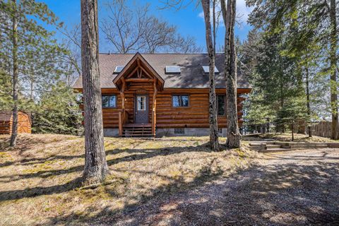 Photo of 6655 W Nurnberg Road, Free Soil, MI 49411 (MLS # 25049102)