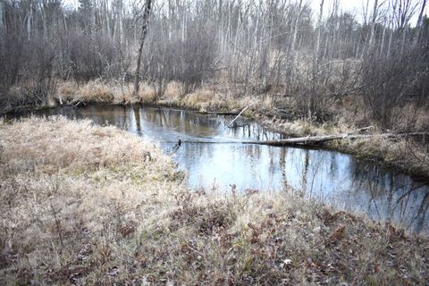 Photo of 646 W 3 Mile Road, Luther, MI 49656 (MLS # 25059137)