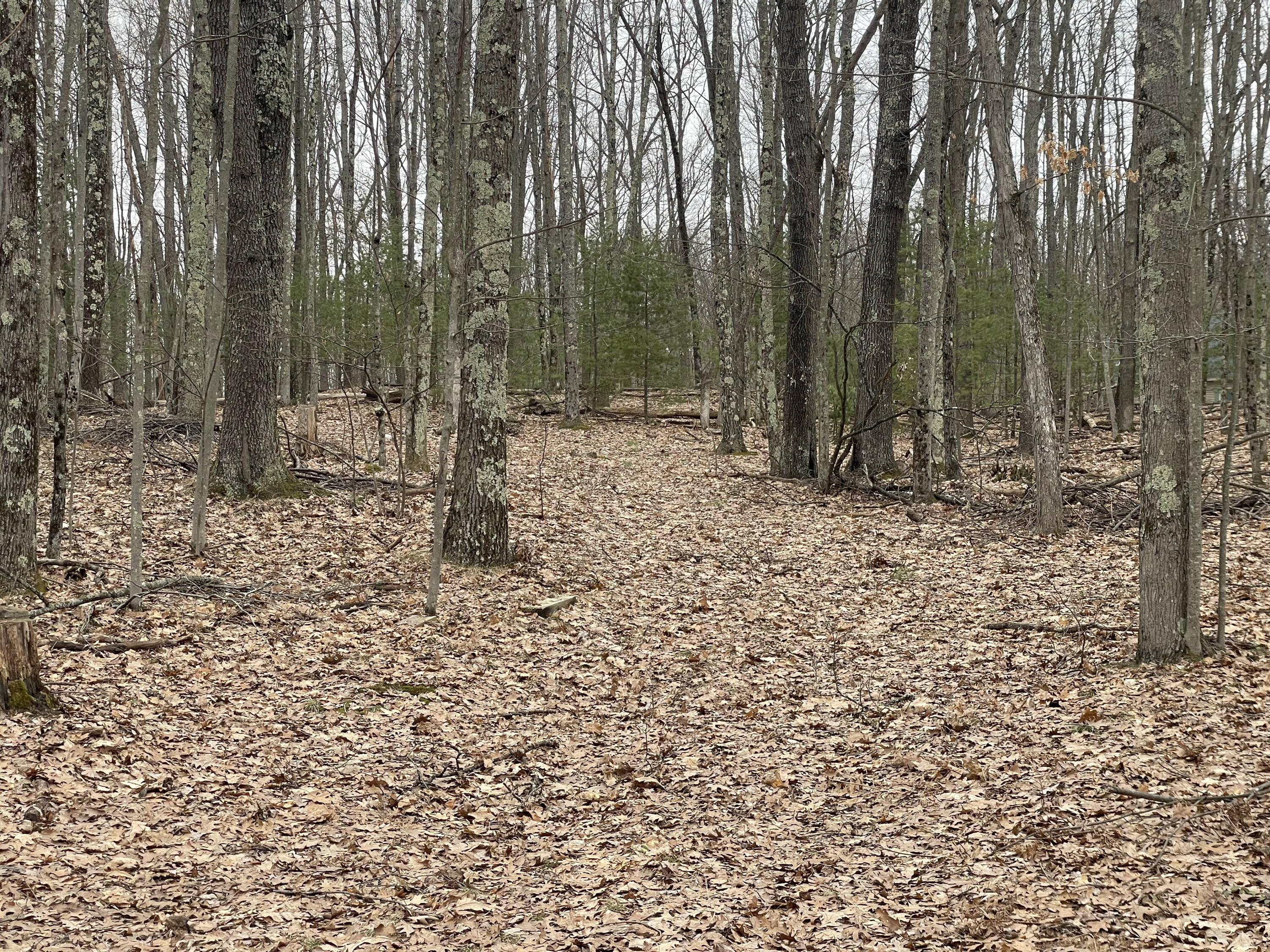 V/L N. Deer Trail