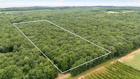 Photo of V/L W Woodrow Road, Shelby, MI 49455 (MLS # 25035905)