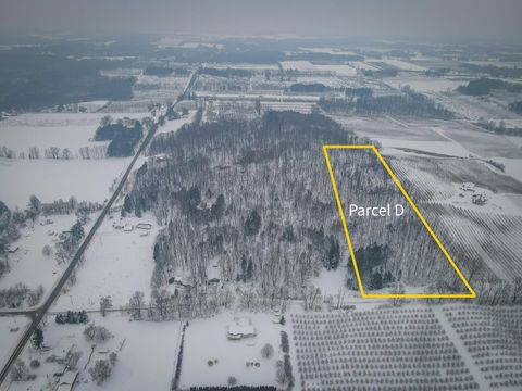 Photo of Parcel D W Grant Road, New Era, MI 49446 (MLS # 25062187)