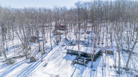 Photo of 10478 Wampum Trail, Evart, MI 49631 (MLS # 26008866)