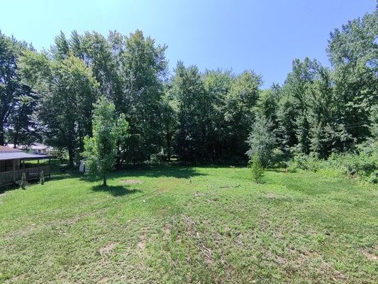 209 NORTH ST, BANGOR, MI 49013 - Image 8ec6c3ba8ea3dbf8201214867d15a339/114596836