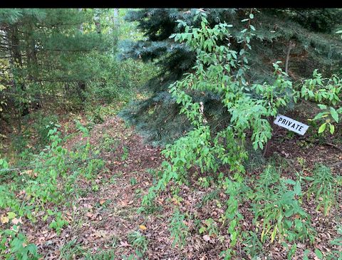 Photo of E Rossel Lake Road, Walkerville, MI 49459 (MLS # 25055583)