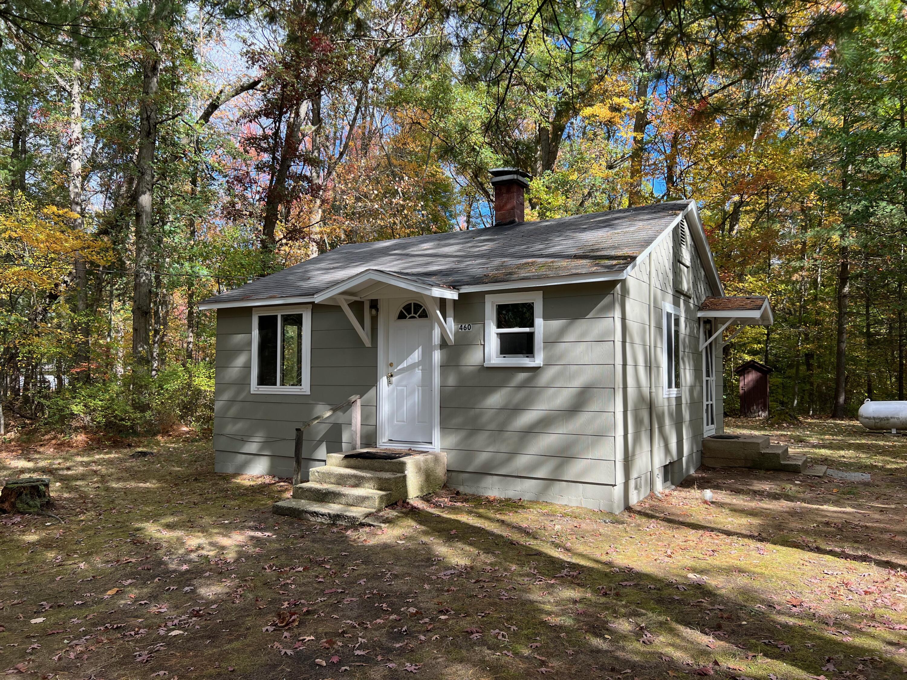 Photo 1 of 19 — 460 Lynn Street, Baldwin, MI 49304