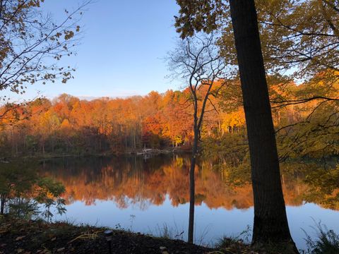 Photo of 4336 Hills Haven Road, Buchanan, MI 49107 (MLS # 26017830)